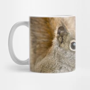 Red Squirrel Mug